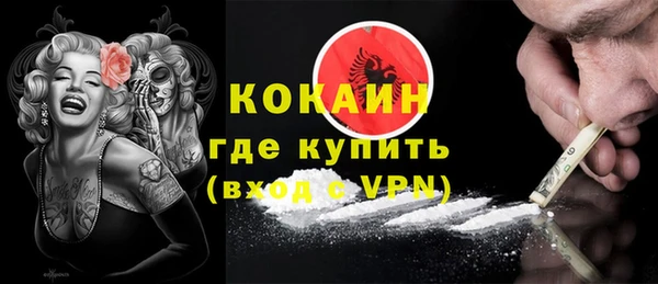 гашик Каменка