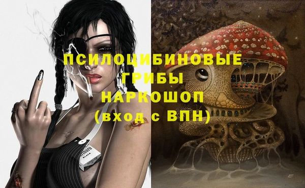 гашик Каменка