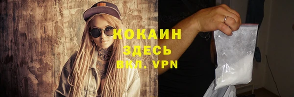 гашик Каменка