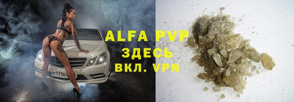 гашик Каменка