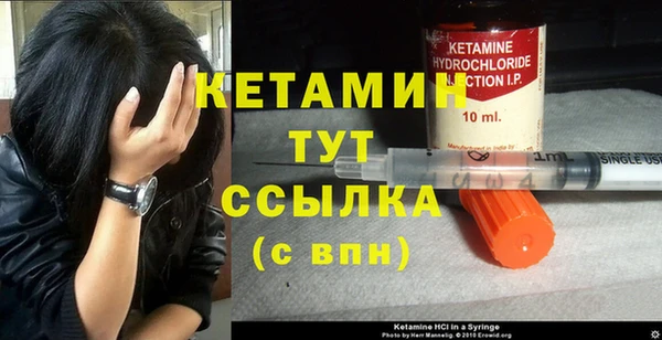 гашик Каменка