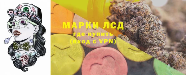 гашик Каменка