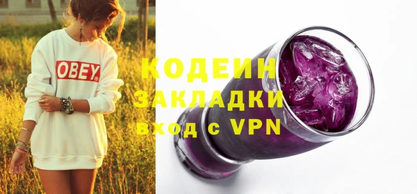 гашик Каменка
