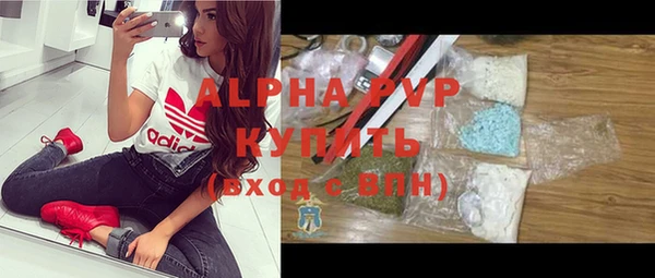 гашик Каменка
