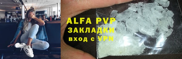 гашик Каменка